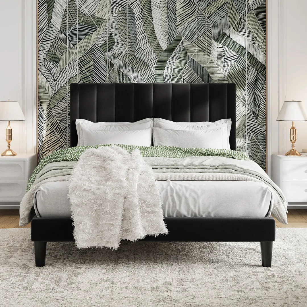 Cleo Velvet Upholstered Platform Bed Kelly Clarkson Home Color: Black Size: Queen