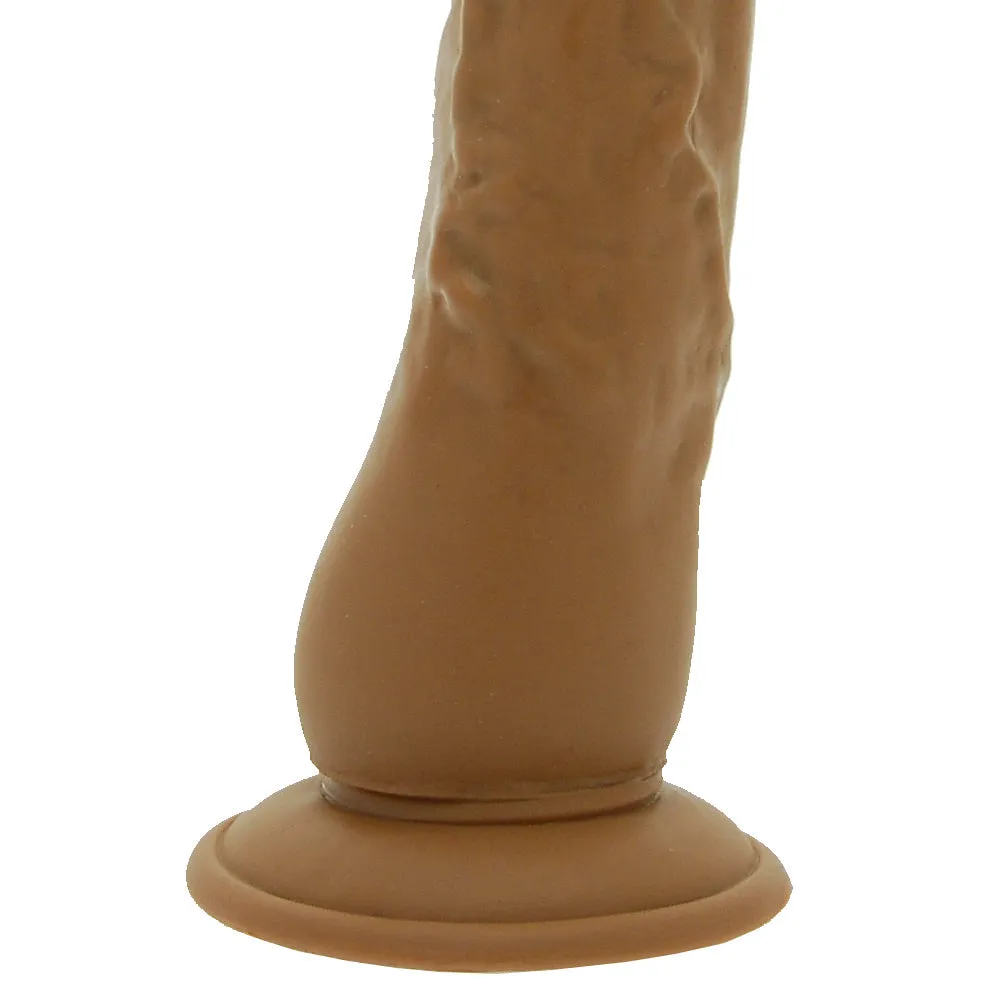 Latin Lover World Of Dongs 8.5 Inches