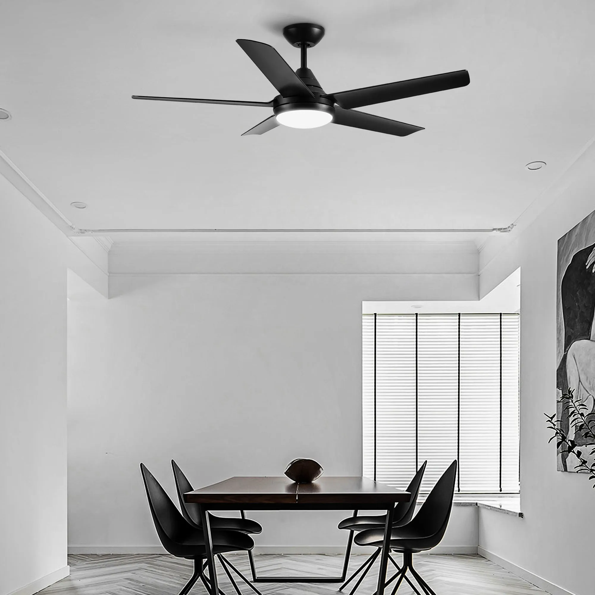 Misty Valley 48in. Modern 5-Blade Integrated LED Black Ceiling Fan with Light, Color-Changing Quiet Remote Control Ceiling Fan