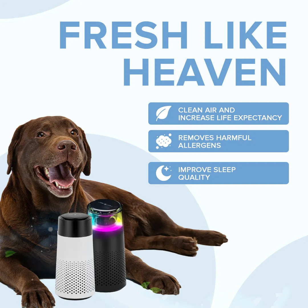 Pet Air Purifier