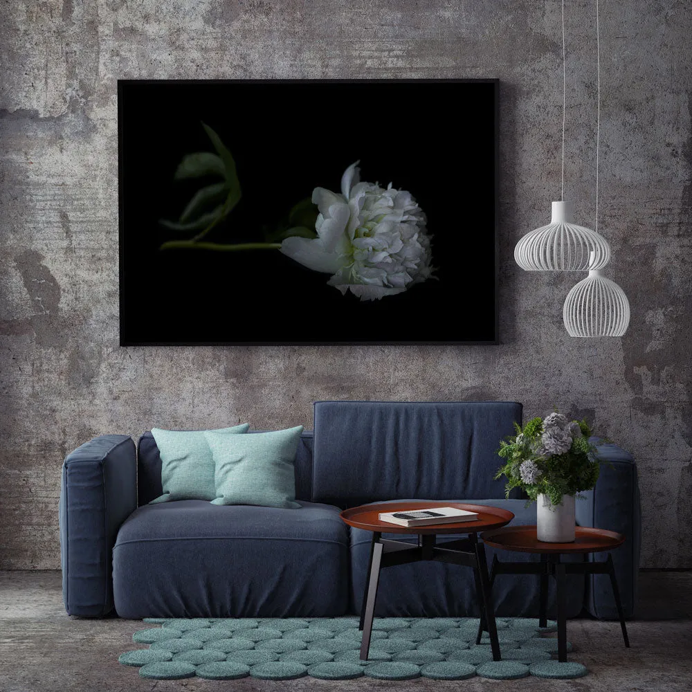 The Masters – Sole Peony